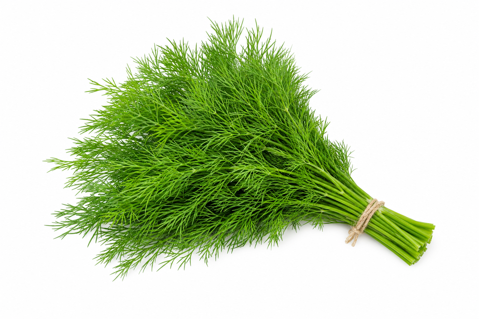 Aneth frais 100 g