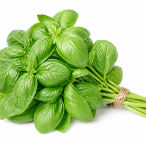 Basilic frais 100 g