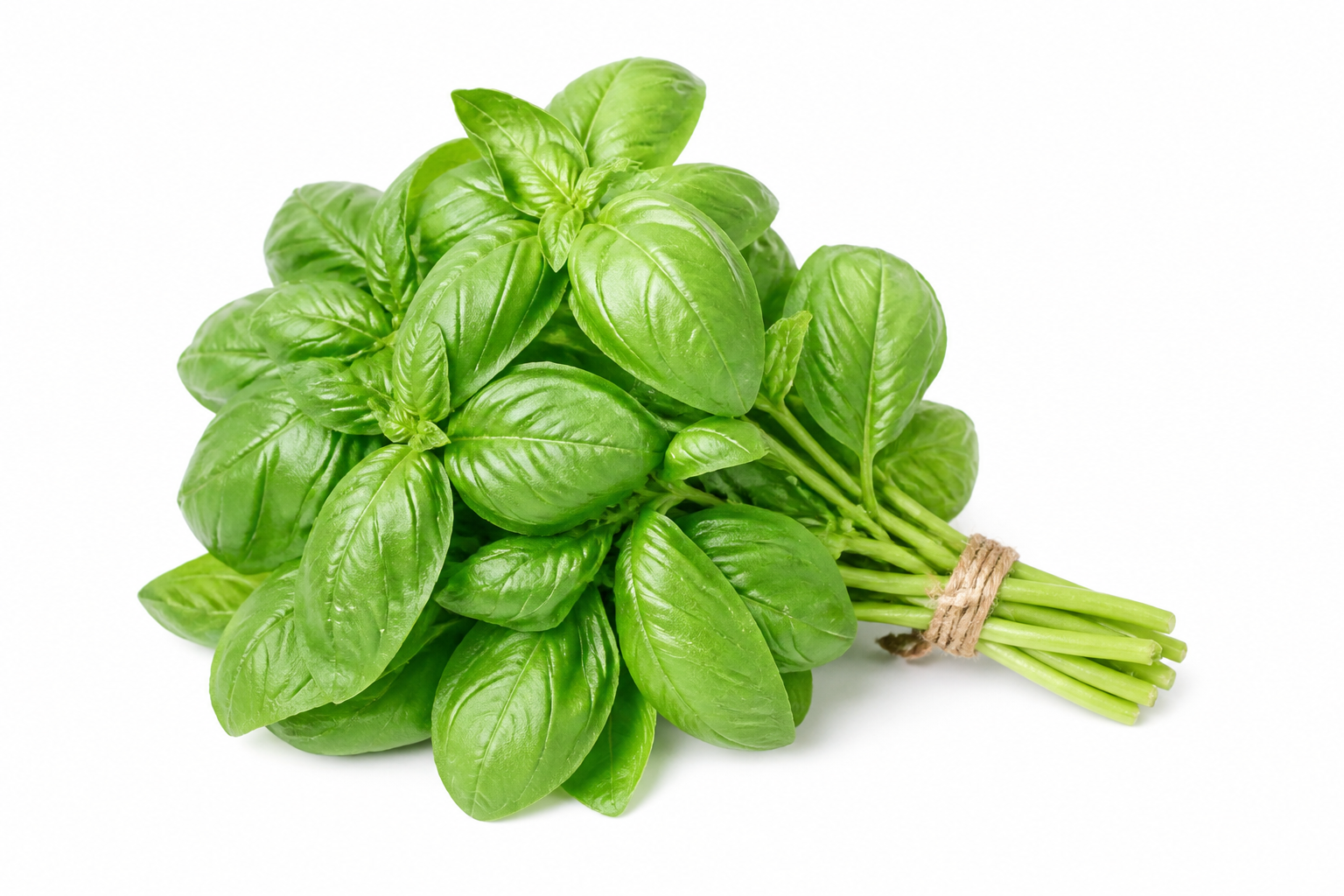 Basilic frais 100 g