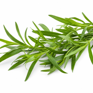Estragon frais 100 g