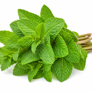 Menthe fraîche 100 g