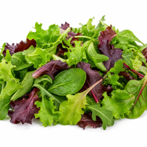 Mesclun France