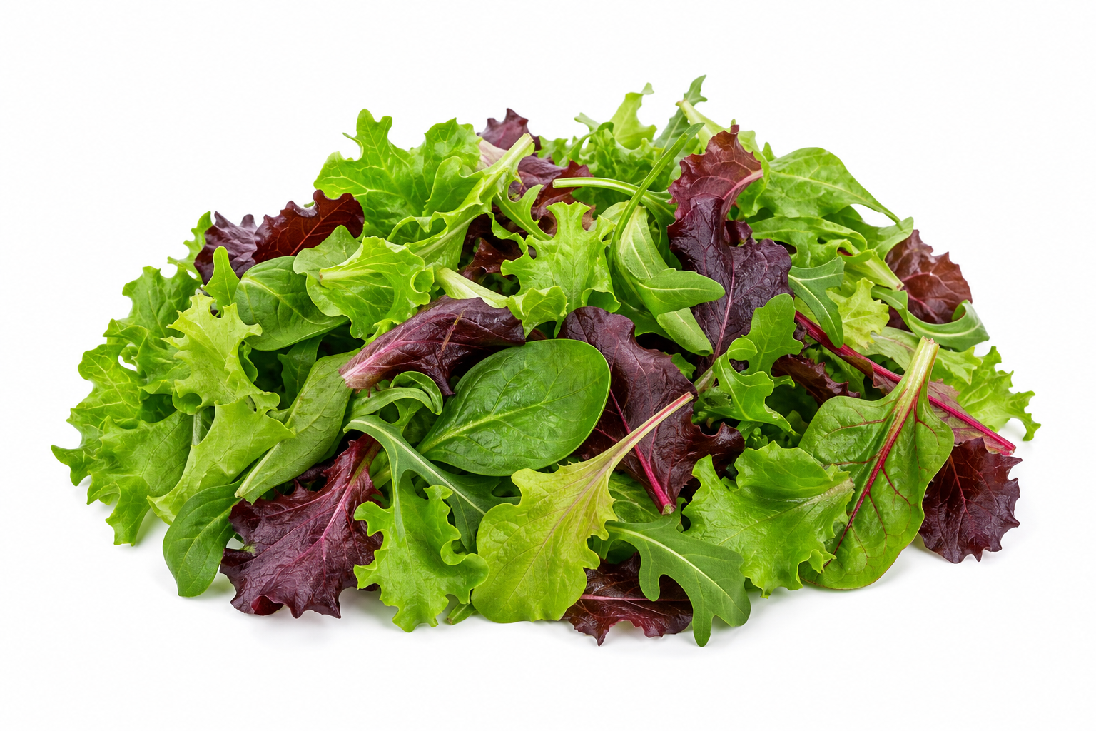 Mesclun France