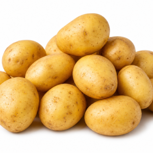 Pomme de terre grenaille Jazzy France