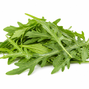 Roquette France