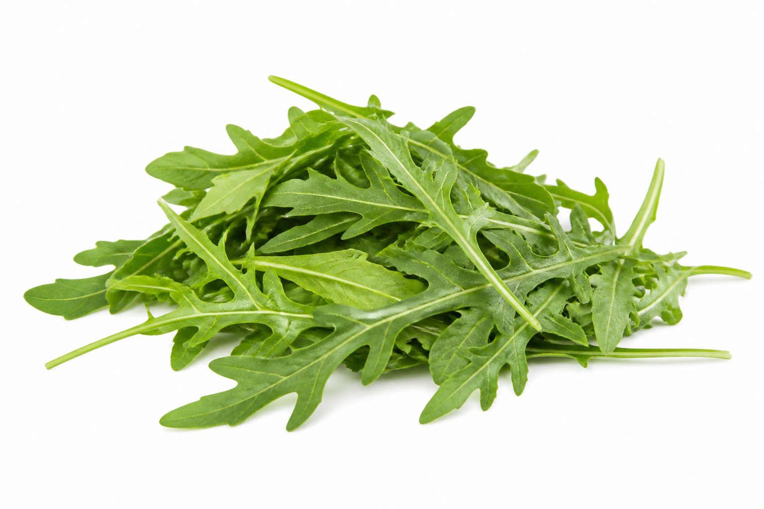 Roquette France