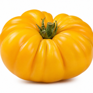 Tomate côtelée jaune