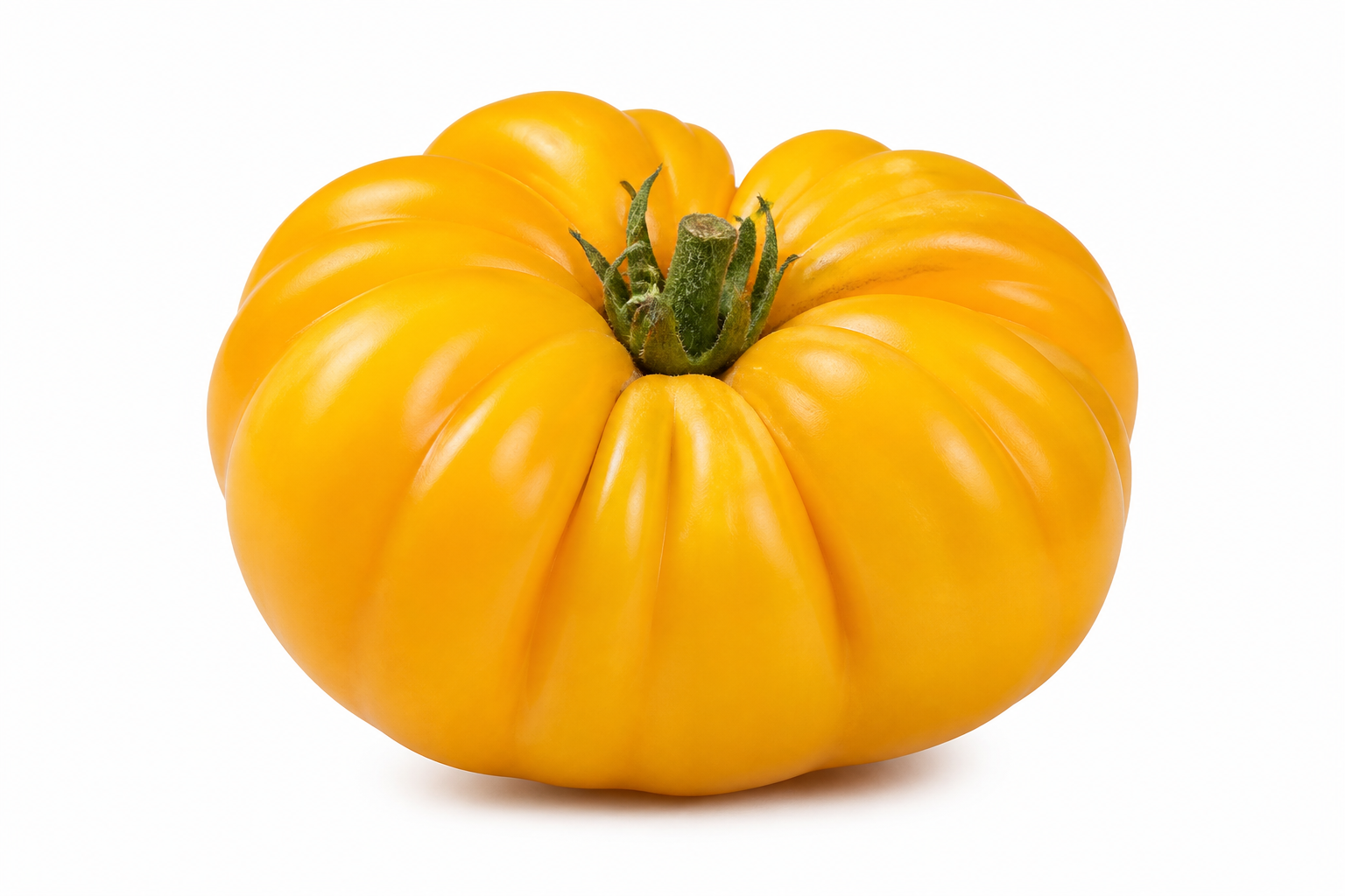 Tomate côtelée jaune